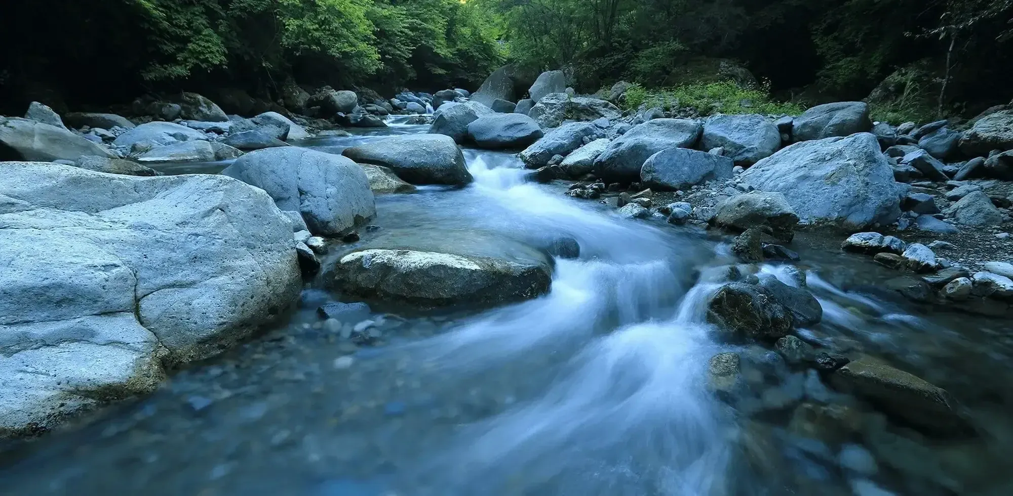 A forest stream flowing between large, smooth rocks.
